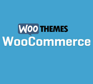 Product Spotlight: Ecommerce store design and setup-Woo Commerce