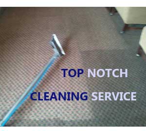 Business Resource Spotlight: Top Notch Cleaning Service