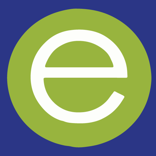 Strategic eMarketing E Icon Logo